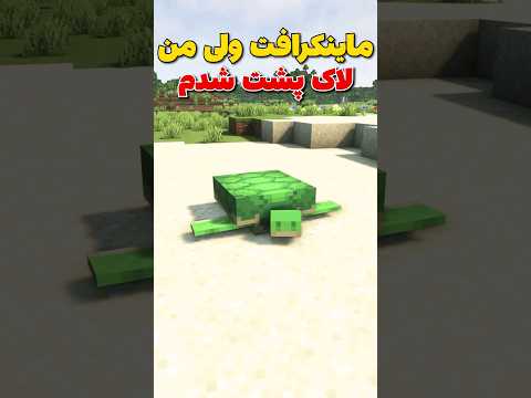 ماینکرافت ولی من تبدیل به لاکپشت شدم! #shorts