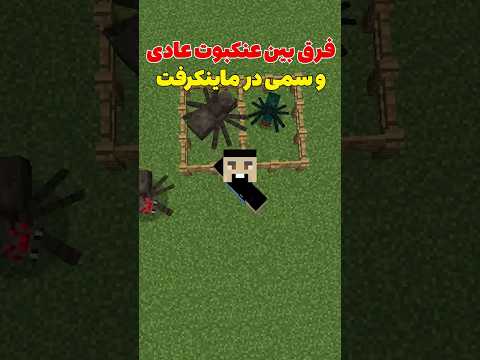 فرق عنکبوت عادی و عنکبوت سمی تو ماینکرافت چیه؟ #shorts