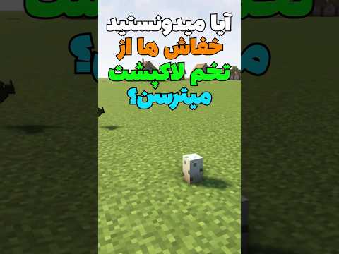 عجیب ترین دانستنی راجع به خفاش ها تو ماینکرافت! #shorts