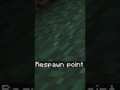 نکته مهم راجع به تخت ها توی ماینکرافت!  #shorts