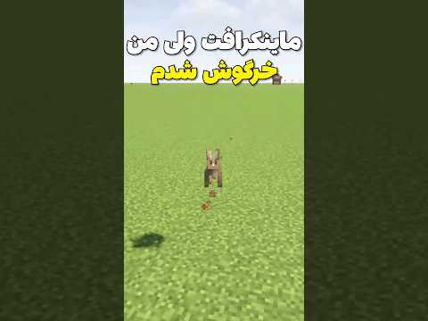 ماینکرافت ولی من تبدیل به خرگوش شدم! #shorts
