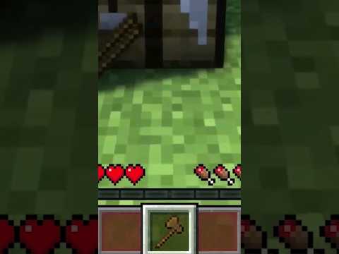 ماینکرافت ولی دستم فقط یه دونه جا داره! #shorts