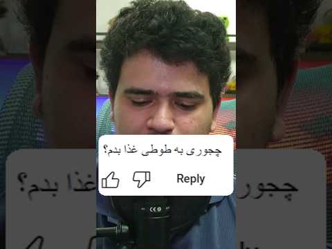 چجوری به طوطی غذا بدیم؟ #shorts