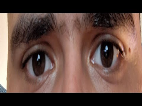 سرور ماینکرافت میا و کوروش