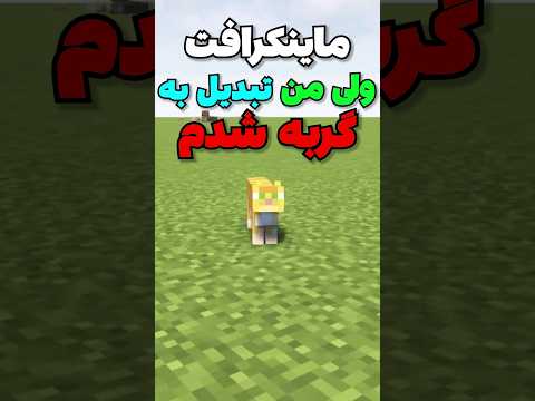 ماینکرافت ولی من تبدیل به گربه شدم! #shorts