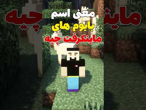 معنی اسم بایوم های ماینکرافت چیه؟ #shorts